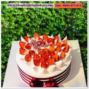 Bánh Sinh Nhật Trái Cây Tươi - U24